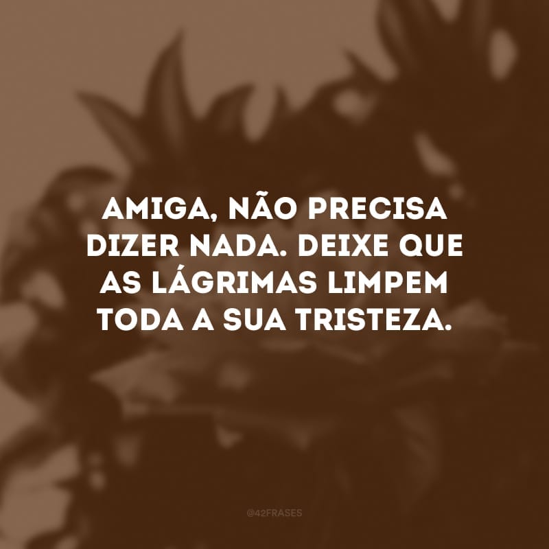 Amiga, não precisa dizer nada. Deixe que as lágrimas limpem toda a sua tristeza. 