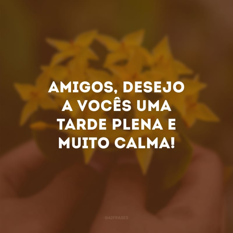 Amigos, desejo a vocês uma tarde plena e muito calma! 