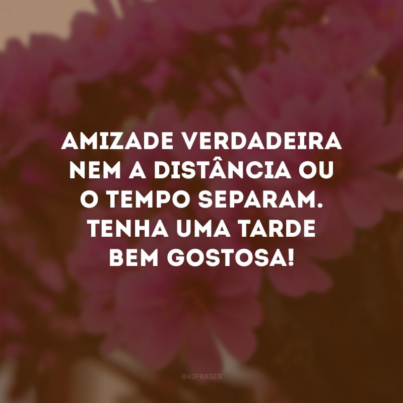 Amizade verdadeira nem a distância ou o tempo separam. Tenha uma tarde bem gostosa! 