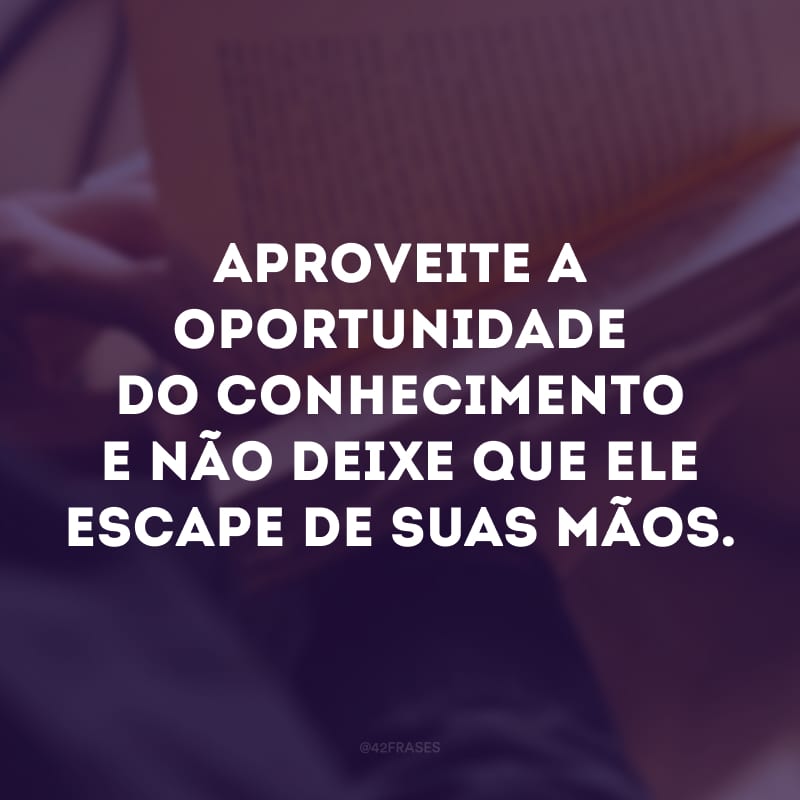 Aproveite a oportunidade do conhecimento e não deixe que ele escape de suas mãos.
