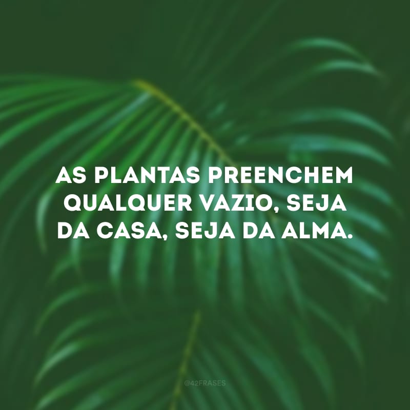 As plantas preenchem qualquer vazio, seja da casa, seja da alma.
