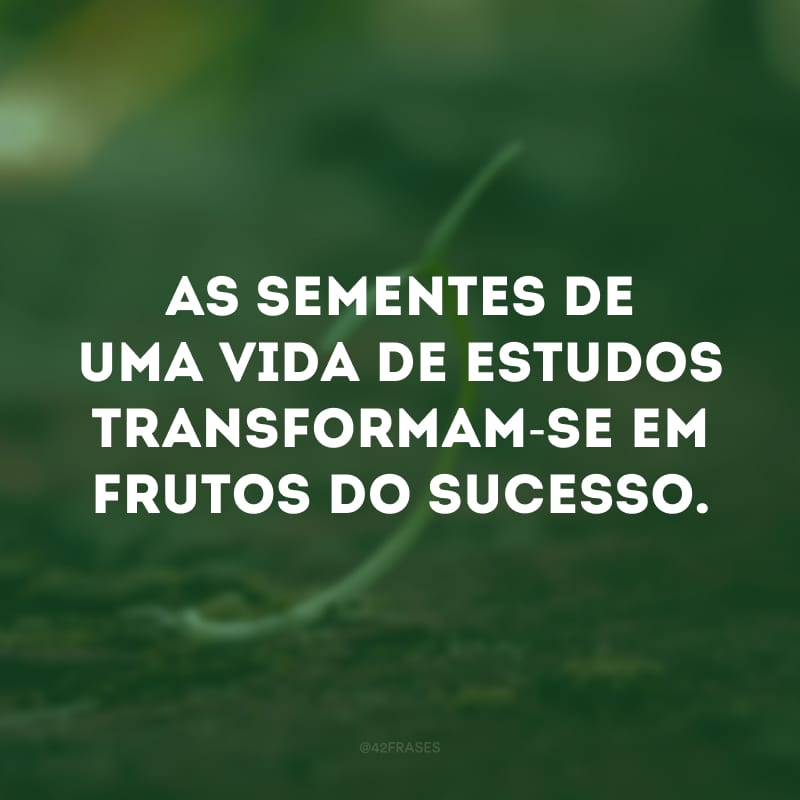 As sementes de uma vida de estudos transformam-se em frutos do sucesso.
