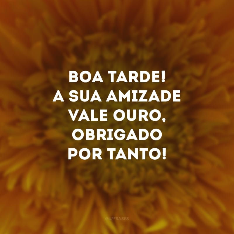 Boa tarde! A sua amizade vale ouro, obrigado por tanto! 