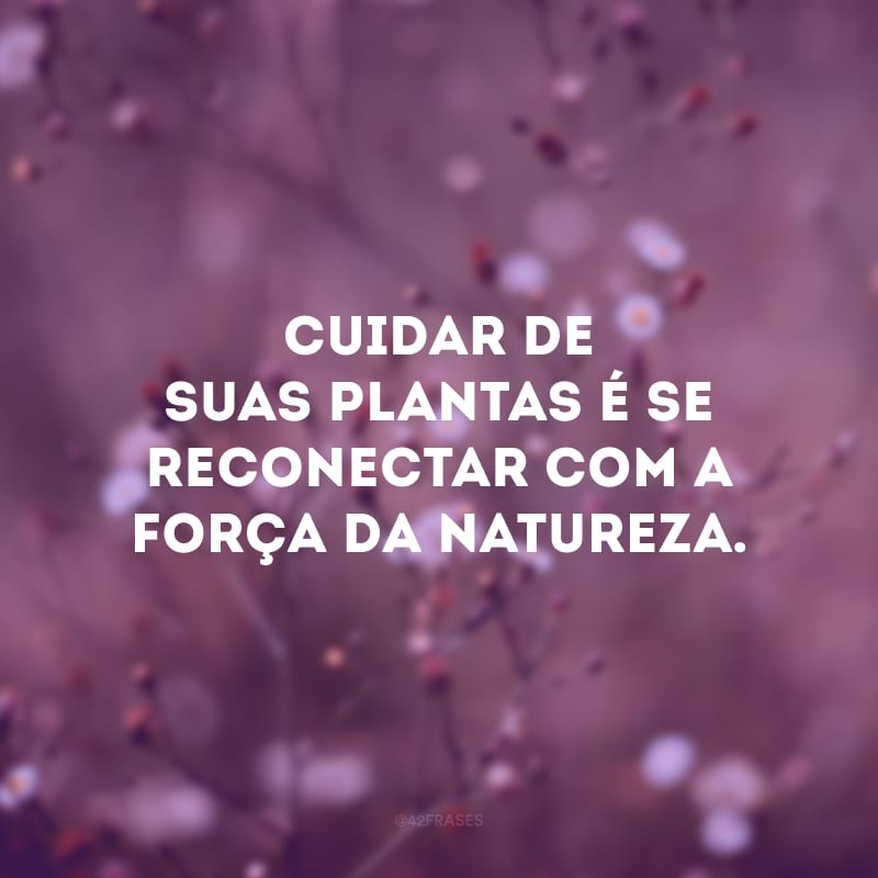 Cuidar de suas plantas é se reconectar com a força da natureza.
