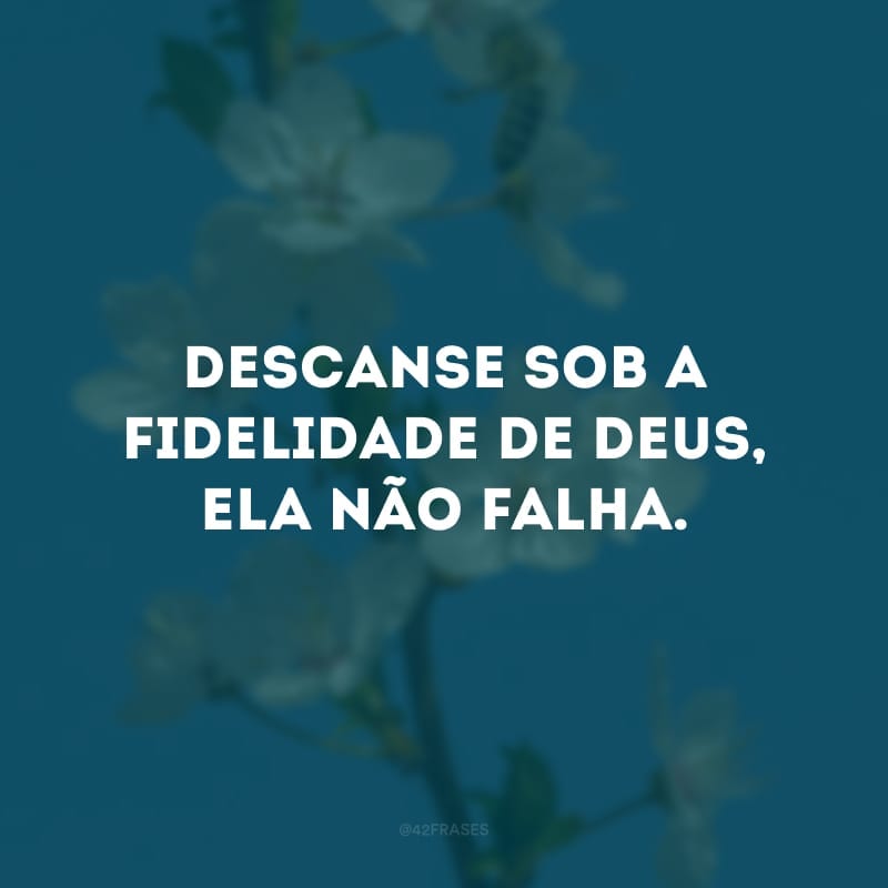 Descanse sob a fidelidade de Deus, ela não falha. 