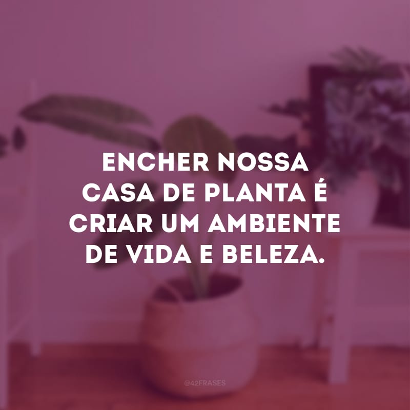 Encher nossa casa de planta é criar um ambiente de vida e beleza.
