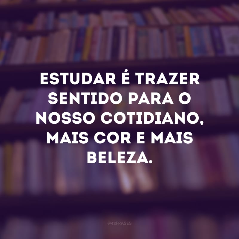 Estudar é trazer sentido para o nosso cotidiano, mais cor e mais beleza.
