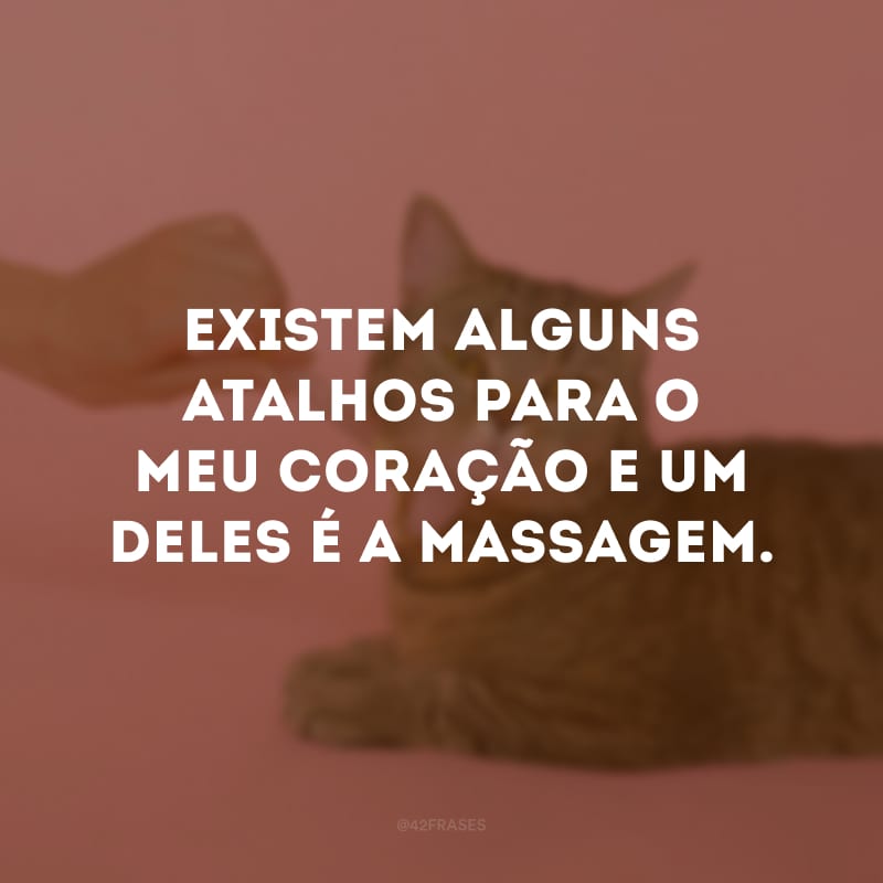 Existem alguns atalhos para o meu coração e um deles é a massagem. 