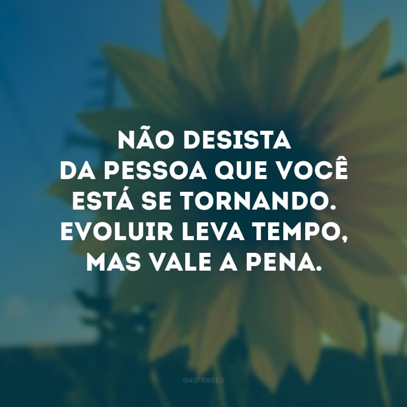 Não desista da pessoa que você está se tornando. Evoluir leva tempo, mas vale a pena. 