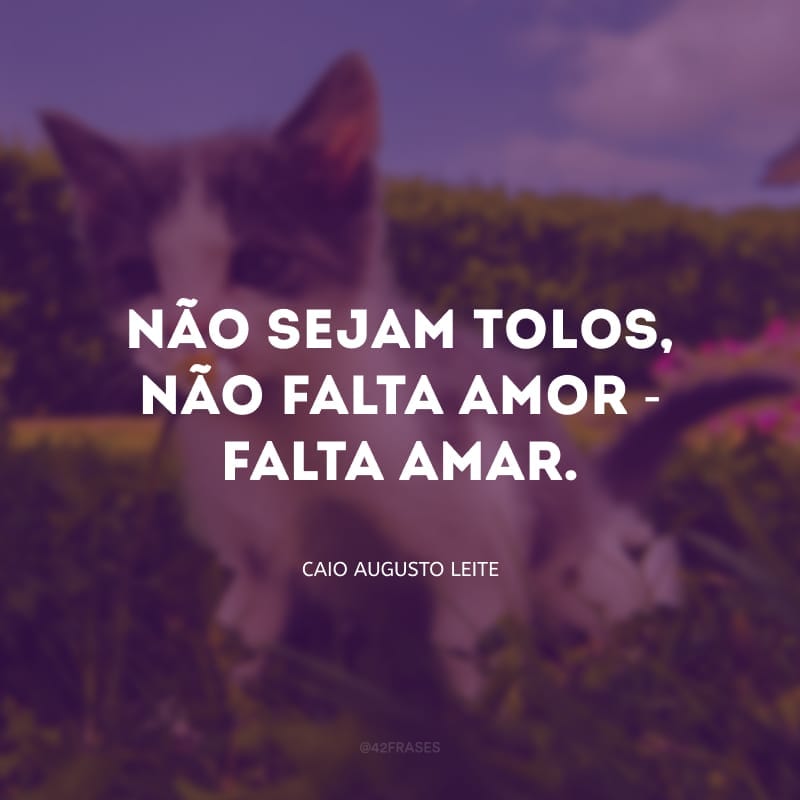 Não sejam tolos, não falta amor - falta amar.