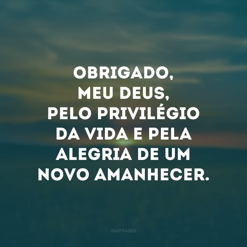 Obrigado, meu Deus, pelo privilégio da vida e pela alegria de um novo amanhecer. 