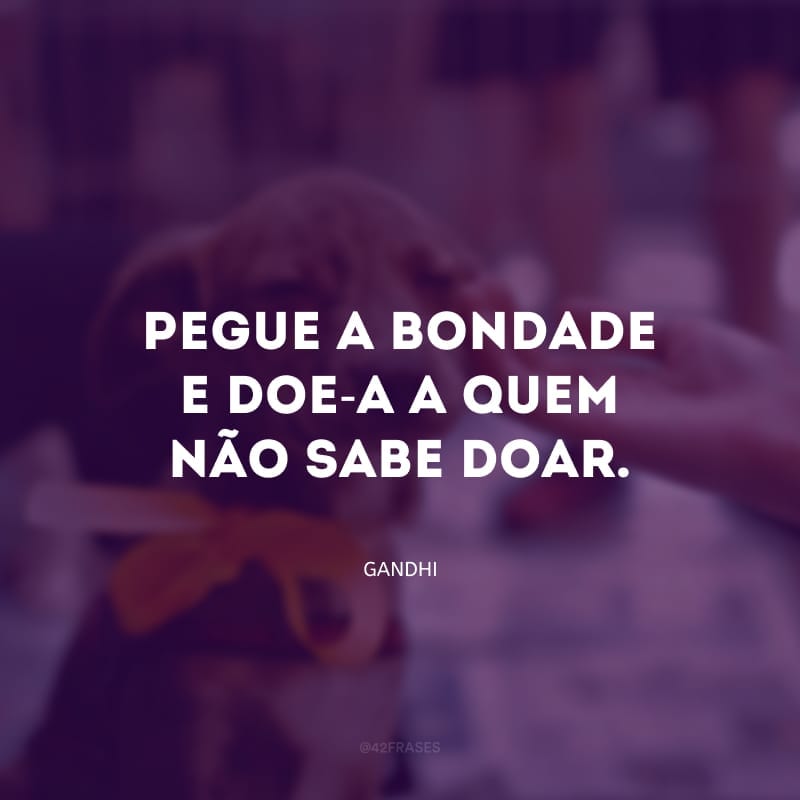 Pegue a bondade e doe-a a quem não sabe doar. Descubra o amor e faça-o conhecer o mundo. 