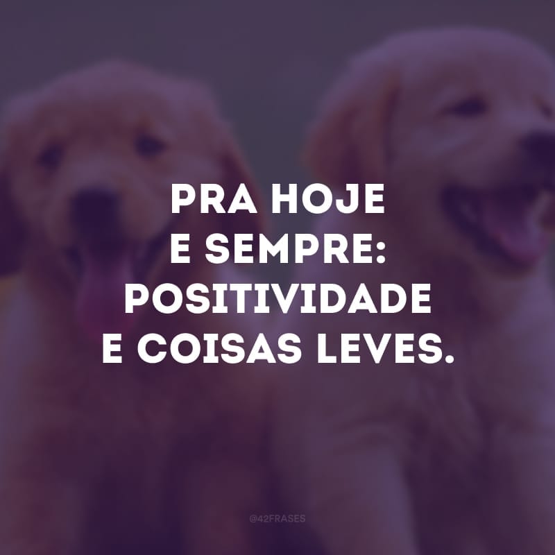 Pra hoje e sempre: positividade e coisas leves. 