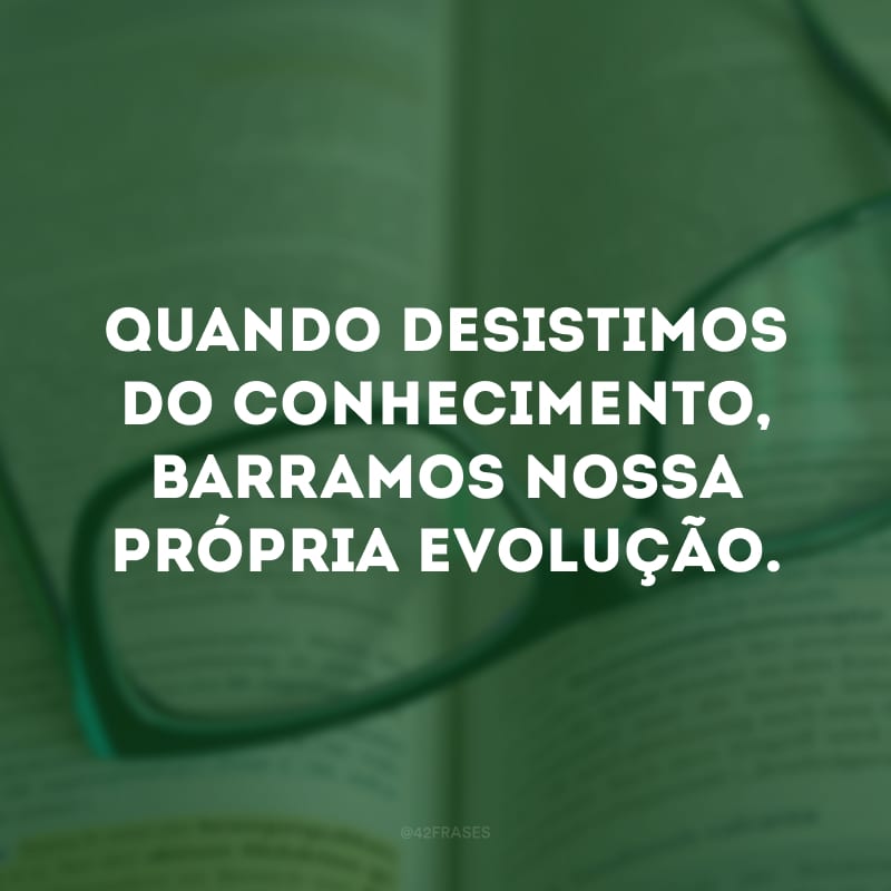 Quando desistimos do conhecimento, barramos nossa própria evolução.
