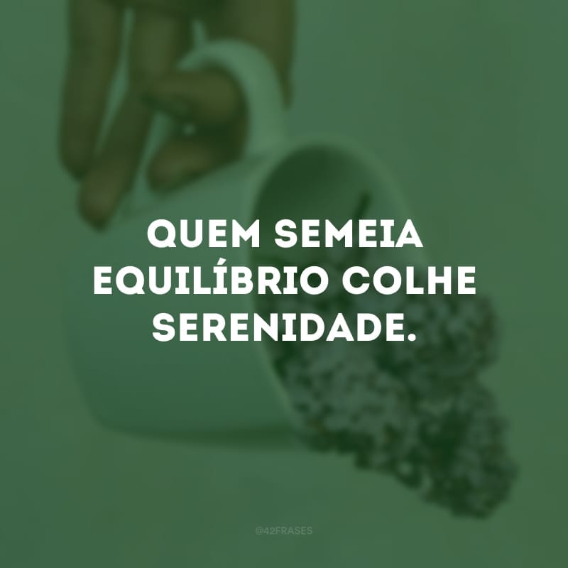 Quem semeia equilíbrio colhe serenidade. 