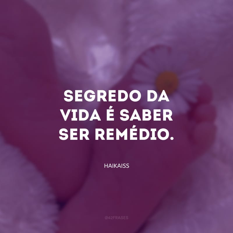 Segredo da vida é saber ser remédio.