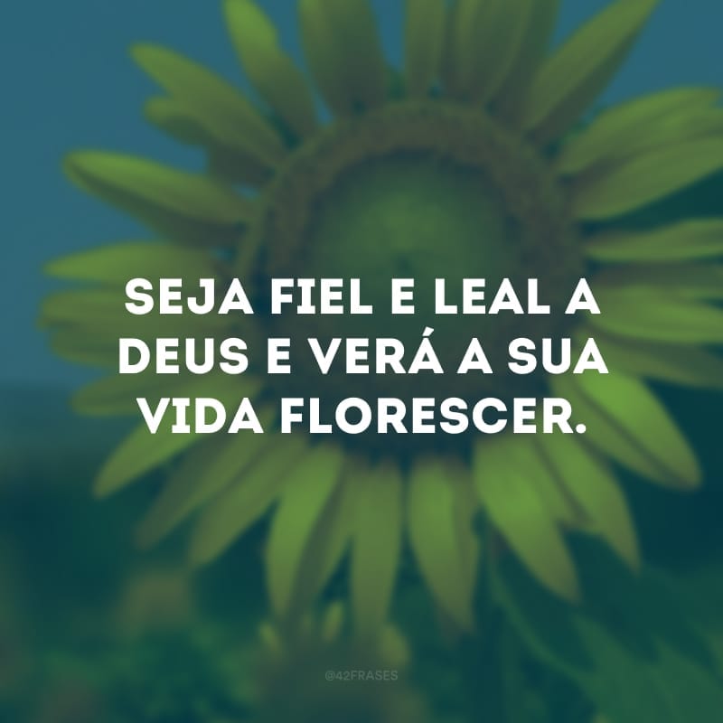 Seja fiel e leal a Deus e verá a sua vida florescer. 