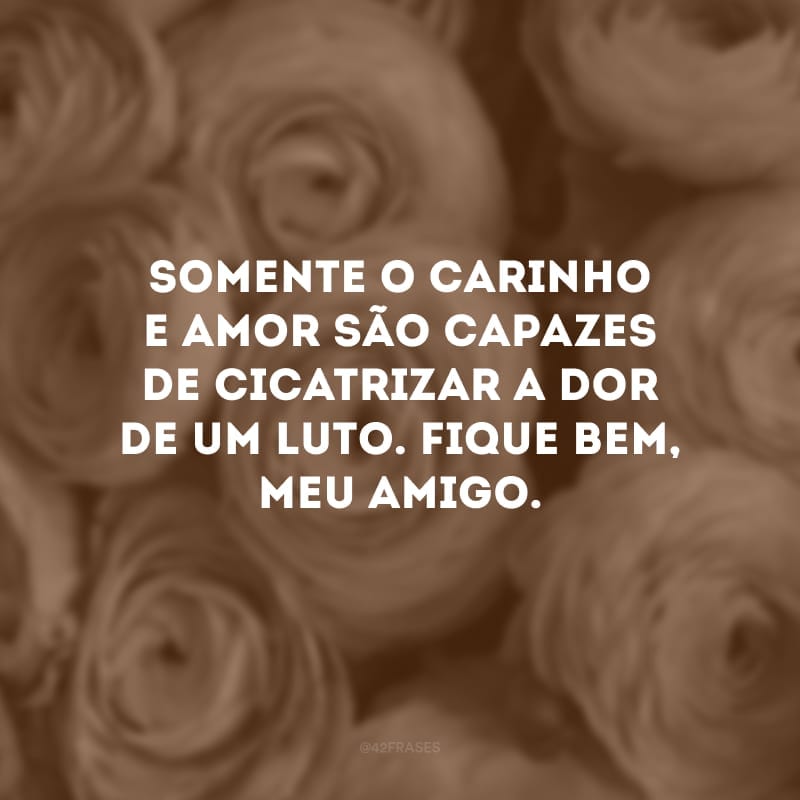 Somente o carinho e amor são capazes de cicatrizar a dor de um luto. Fique bem, meu amigo.