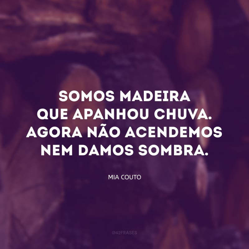 Somos madeira que apanhou chuva. Agora não acendemos nem damos sombra. Temos que secar à luz de um sol que ainda há. E esse sol só pode nascer dentro de nós.