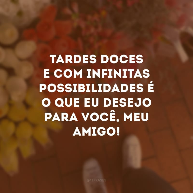 Tardes doces e com infinitas possibilidades é o que eu desejo para você, meu amigo! 