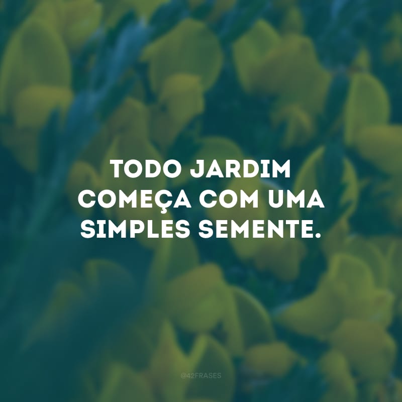 Todo jardim começa com uma simples semente.
