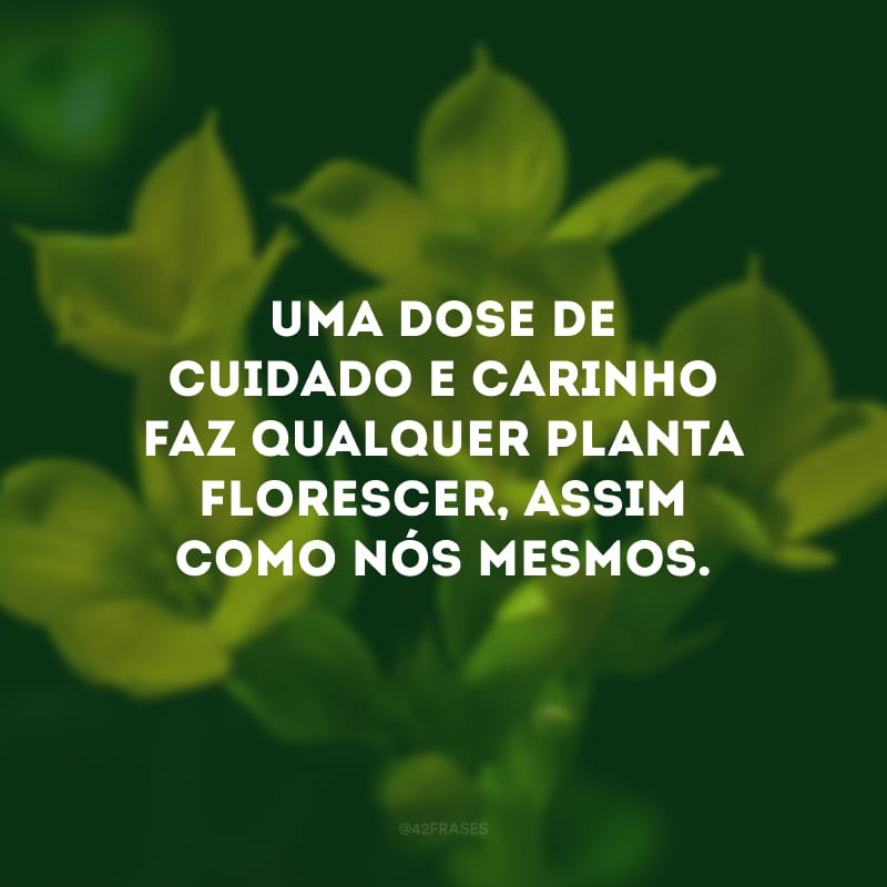 Uma dose de cuidado e carinho faz qualquer planta florescer, assim como nós mesmos.