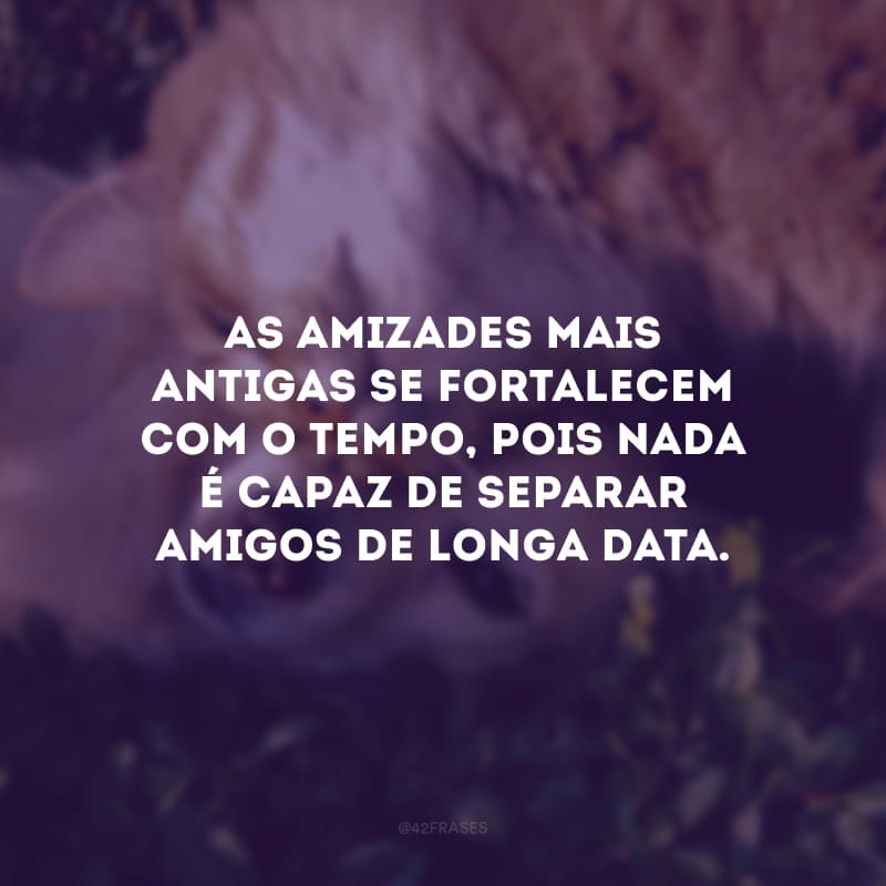 As amizades mais antigas se fortalecem com o tempo, pois nada é capaz de separar amigos de longa data.