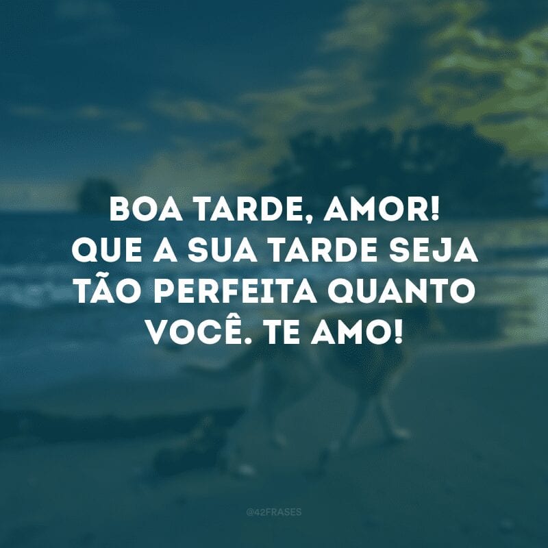 Boa tarde, amor! Que a sua tarde seja tão perfeita quanto você. Te amo!