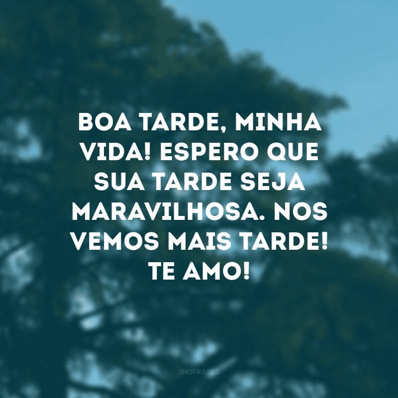 Boa tarde, minha vida! Espero que sua tarde seja maravilhosa. Nos vemos mais tarde! Te amo!