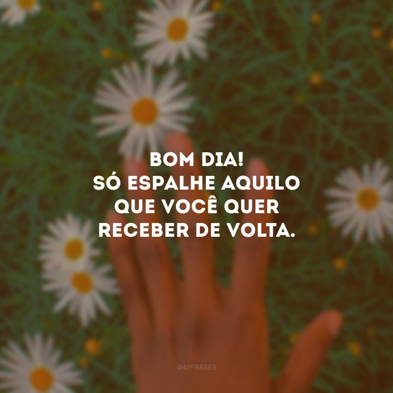 Bom dia! Só espalhe aquilo que você quer receber de volta.