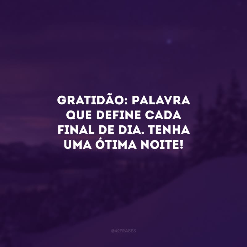 Gratidão: palavra que define cada final de dia. Tenha uma ótima noite! 