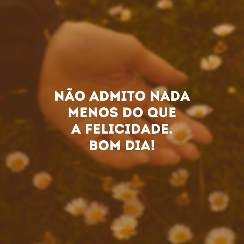 Não admito nada menos do que a felicidade. Bom dia!