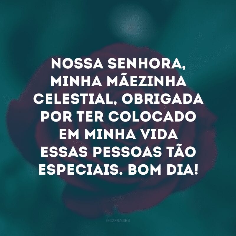 Nossa Senhora, minha mãezinha celestial, obrigada por ter colocado em minha vida essas pessoas tão especiais. Bom dia!