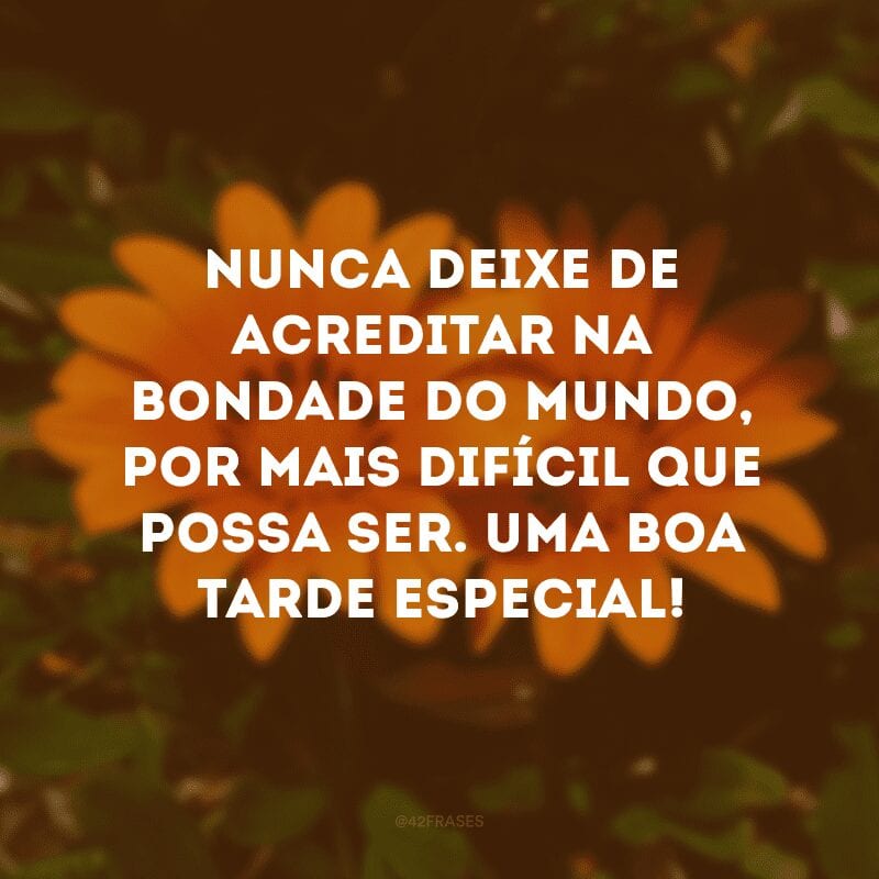 Nunca deixe de acreditar na bondade do mundo, por mais difícil que possa ser. Uma boa tarde especial!