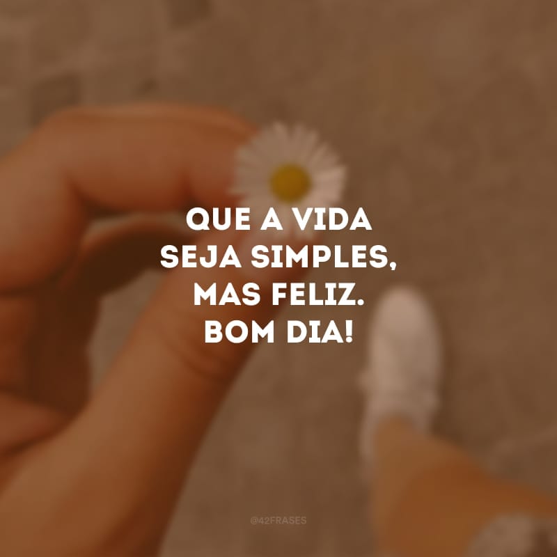 Que a vida seja simples, mas feliz. Bom dia!