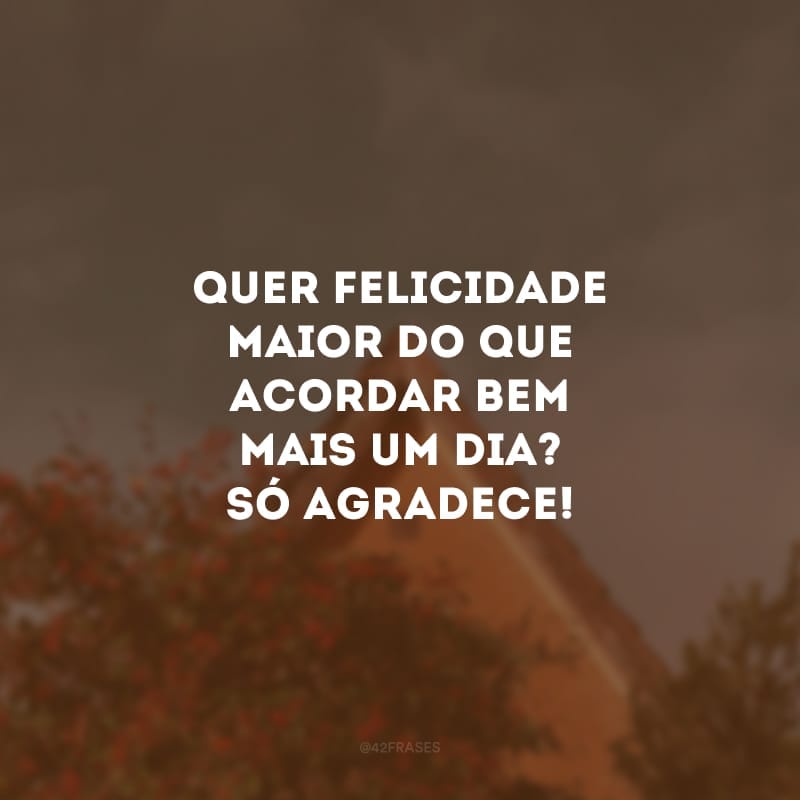 Quer felicidade maior do que acordar bem mais um dia? Só agradece!