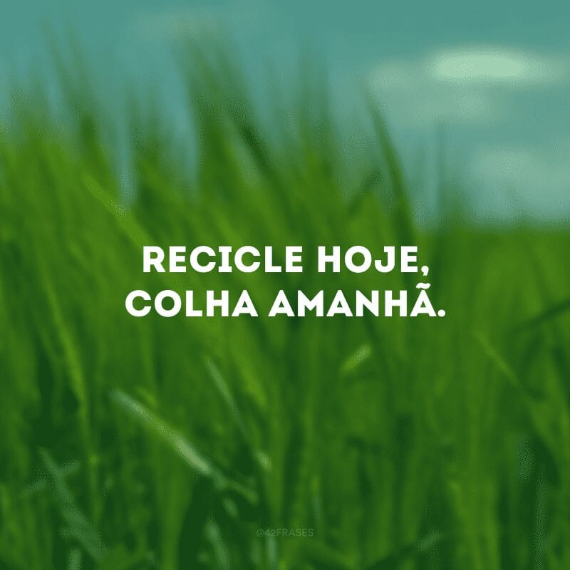 Recicle hoje, colha amanhã. 