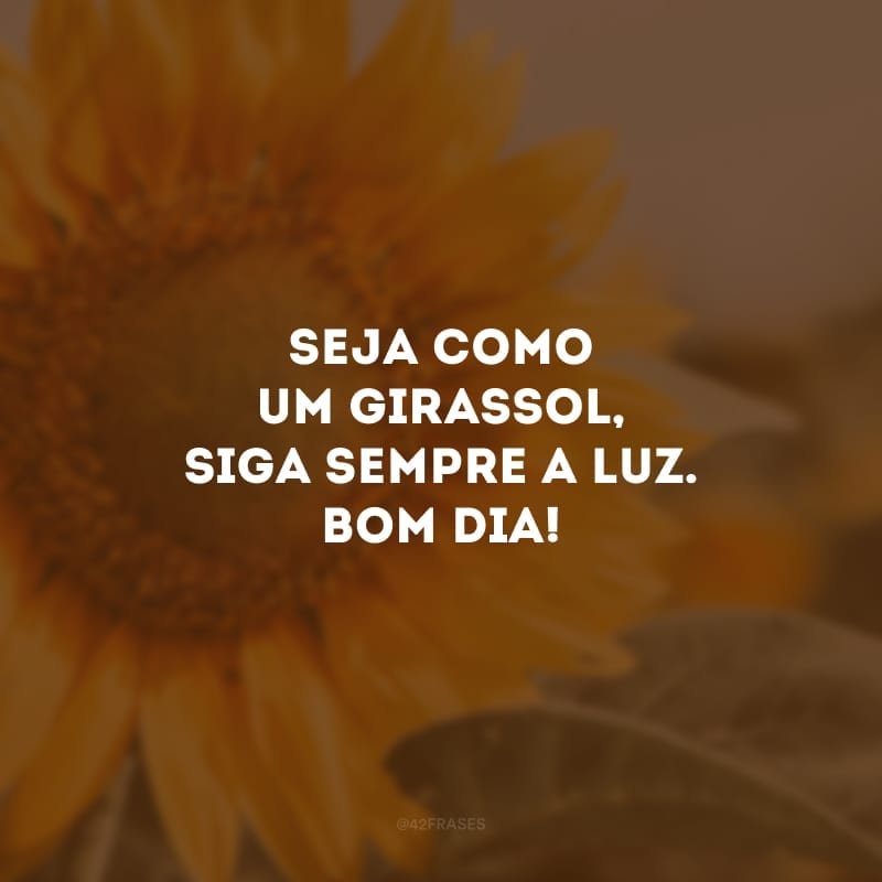 Seja como um girassol, siga sempre a luz. Bom dia!