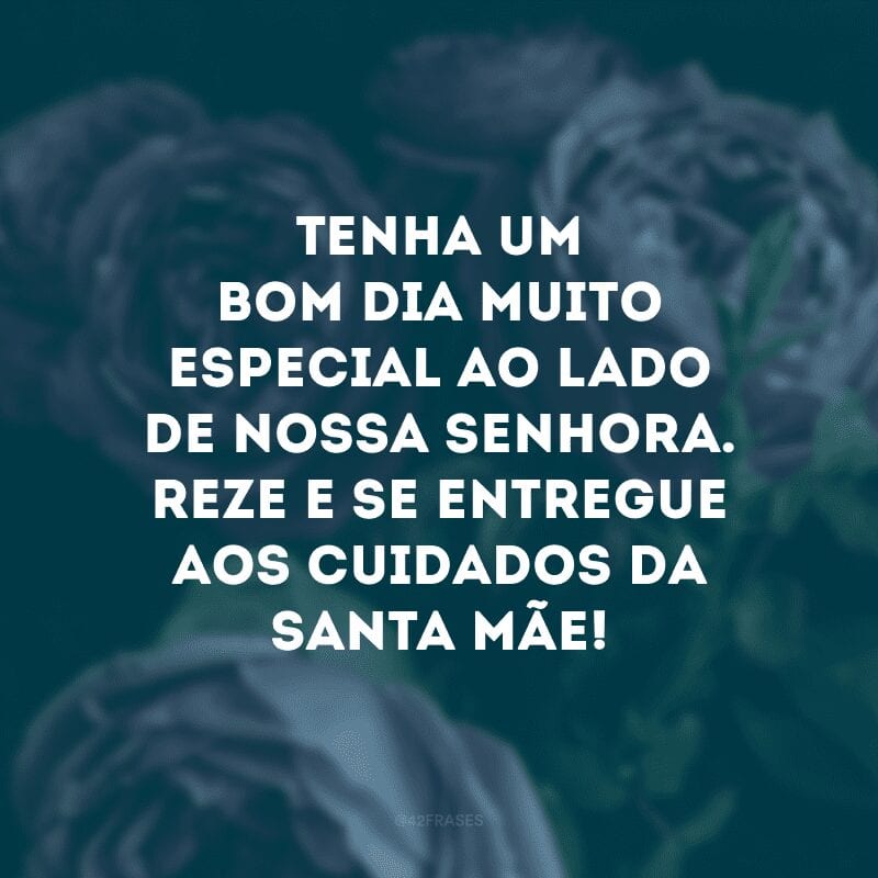 Tenha um bom dia muito especial ao lado de Nossa Senhora. Reze e se entregue aos cuidados da santa mãe!