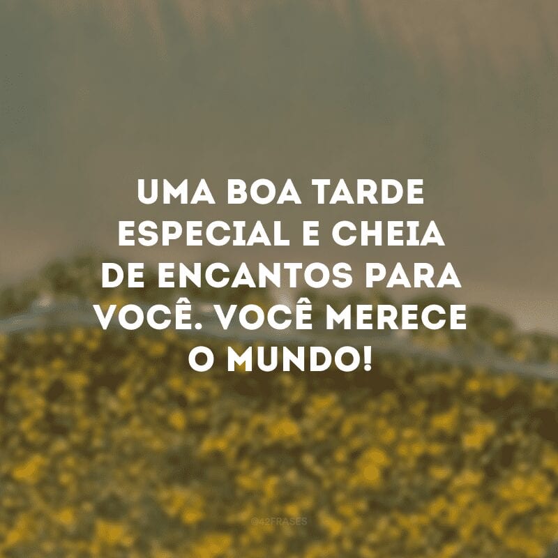 Uma boa tarde especial e cheia de encantos para você. Você merece o mundo!