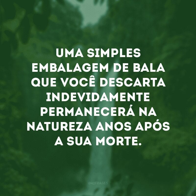 Uma simples embalagem de bala que você descarta indevidamente permanecerá na natureza anos após a sua morte.  