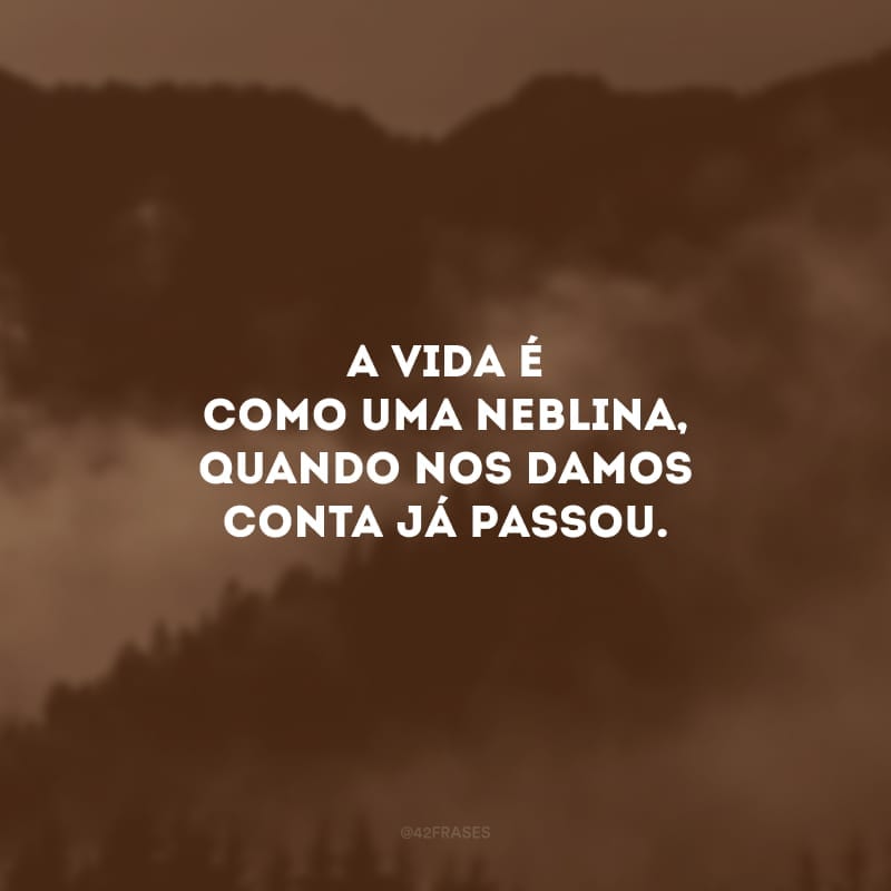 A vida é como uma neblina, quando nos damos conta já passou. 