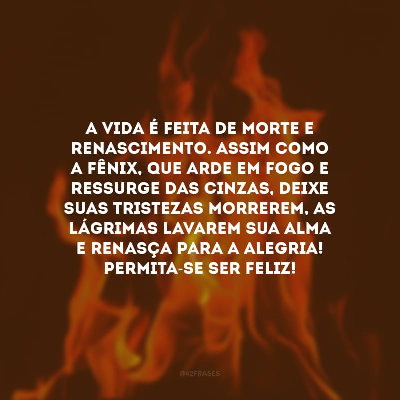 A vida é feita de morte e renascimento. Assim como a fênix, que arde em fogo e ressurge das cinzas, deixe suas tristezas morrerem, as lágrimas lavarem sua alma e renasça para a alegria! Permita-se ser feliz!