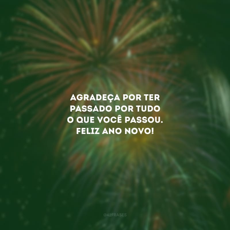 Agradeça por ter passado por tudo o que você passou. Feliz Ano Novo!