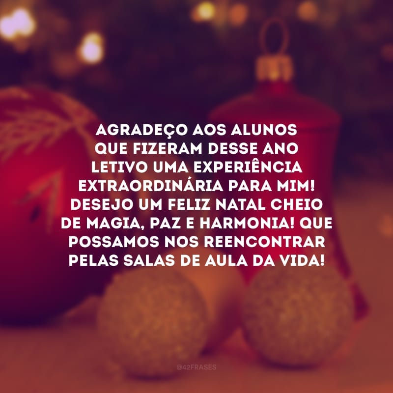 Agradeço aos alunos que fizeram desse ano letivo uma experiência extraordinária para mim! Desejo um feliz Natal cheio de magia, paz e harmonia! Que possamos nos reencontrar pelas salas de aula da vida!