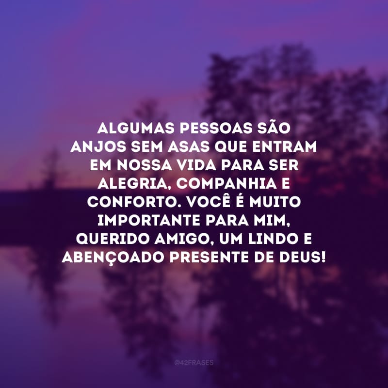 Algumas pessoas são anjos sem asas que entram em nossa vida para ser alegria, companhia e conforto. Você é muito importante para mim, querido amigo, um lindo e abençoado presente de Deus!