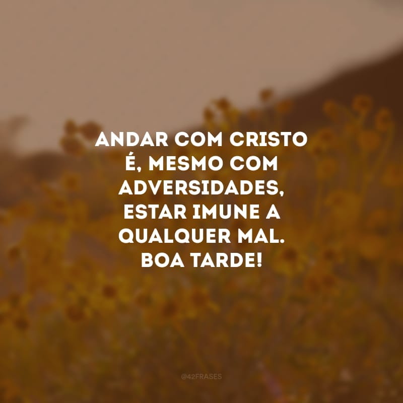 Andar com Cristo é, mesmo com adversidades, estar imune a qualquer mal. Boa tarde!