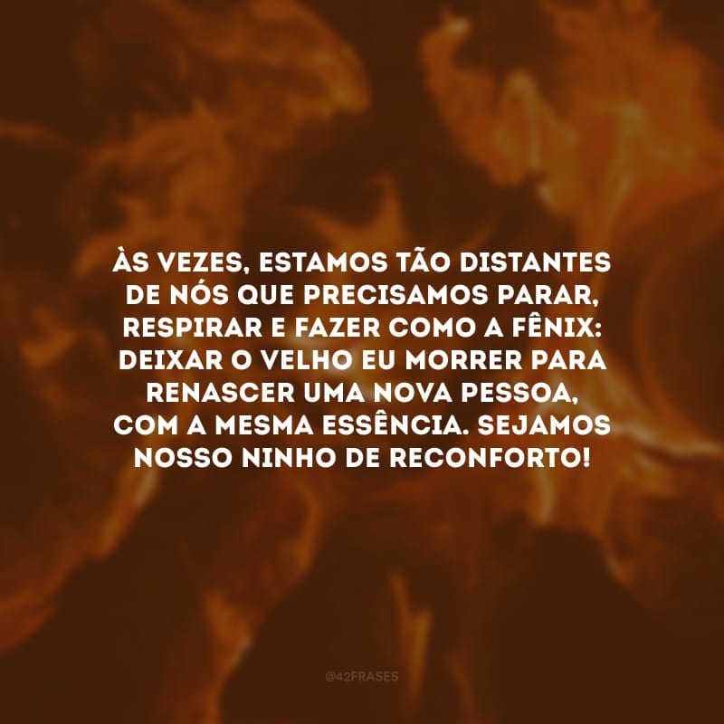 Às vezes, estamos tão distantes de nós que precisamos parar, respirar e fazer como a fênix: deixar o velho eu morrer para renascer uma nova pessoa, com a mesma essência. Sejamos nosso ninho de reconforto!