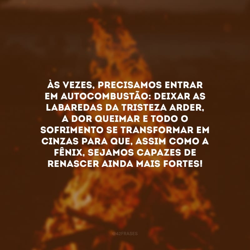 Às vezes, precisamos entrar em autocombustão: deixar as labaredas da tristeza arder, a dor queimar e todo o sofrimento se transformar em cinzas para que, assim como a fênix, sejamos capazes de renascer ainda mais fortes!