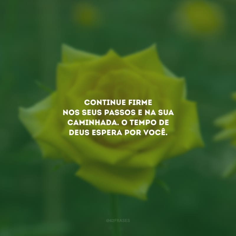 Continue firme nos seus passos e na sua caminhada. O tempo de Deus espera por você.